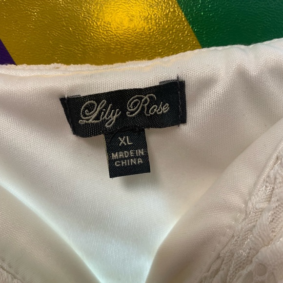 Lily Rose Maxi Dress - Picture 4 of 5